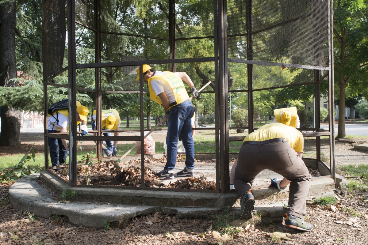 best-seo-extension-chrome-edge